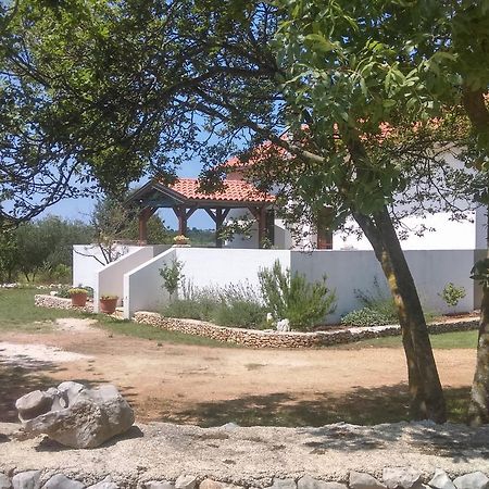 House Soni - 800 M From The Sea Villa Rovinj Eksteriør bilde