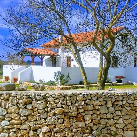House Soni - 800 M From The Sea Villa Rovinj Eksteriør bilde