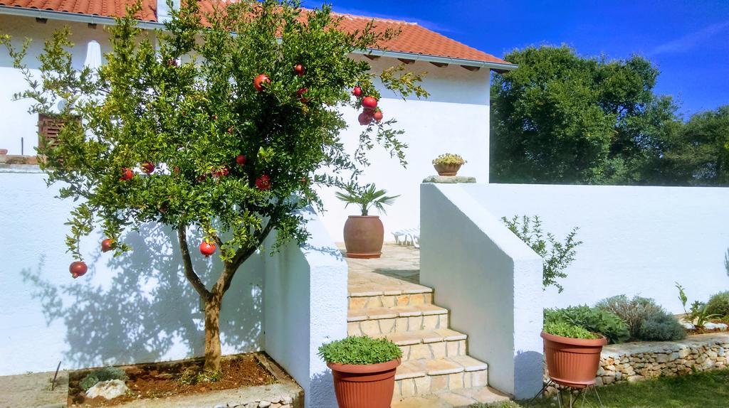 House Soni - 800 M From The Sea Villa Rovinj Eksteriør bilde